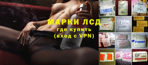 прущие грибы Абдулино
