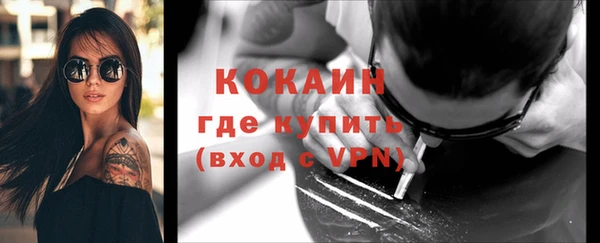 прущие грибы Абдулино