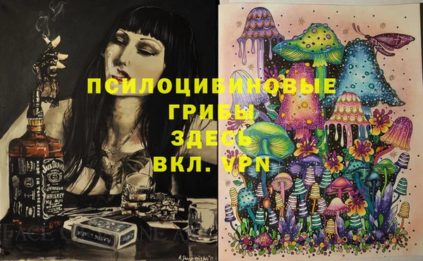 spice Абинск