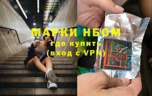 прущие грибы Абдулино