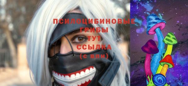 spice Абинск